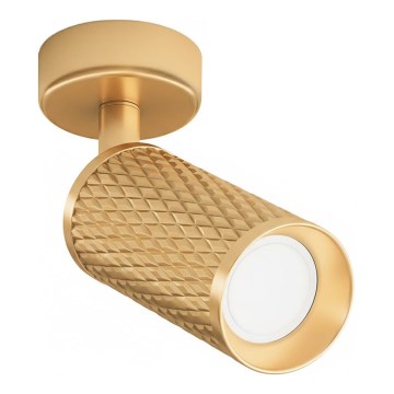 Maytoni C034CL-01G - Spotlamp FOCUS 1xGU10/10W/230V goudkleurig