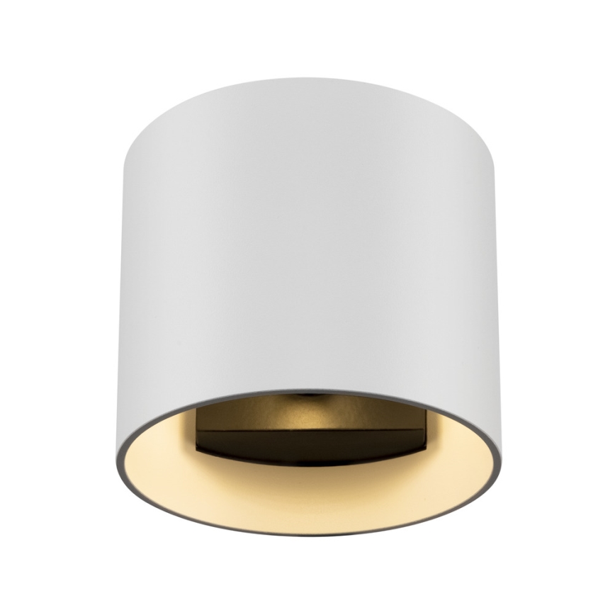 Maytoni C066WL-01W - Applique murale ROND 1xG9/50W/230V blanc