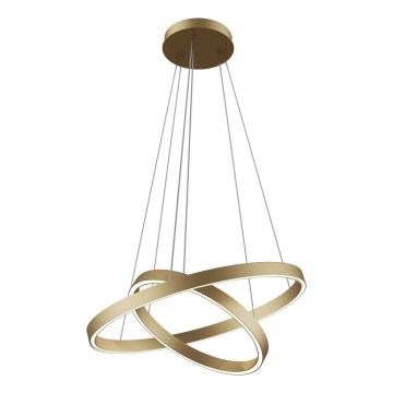 Maytoni MOD058PL-L55BS3K - Suspension filaire RIM LED/61W/230V 3000K d. 60 cm doré