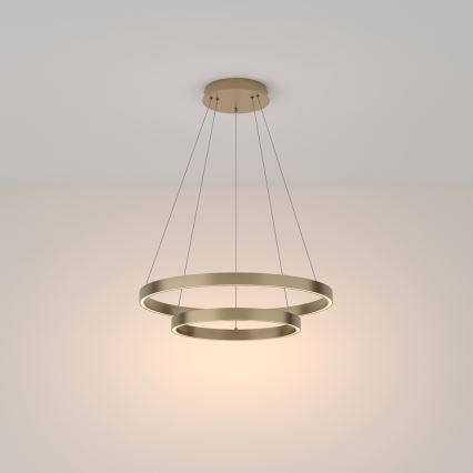 Maytoni MOD058PL-L55BS3K - Suspension filaire RIM LED/61W/230V 3000K d. 60 cm doré