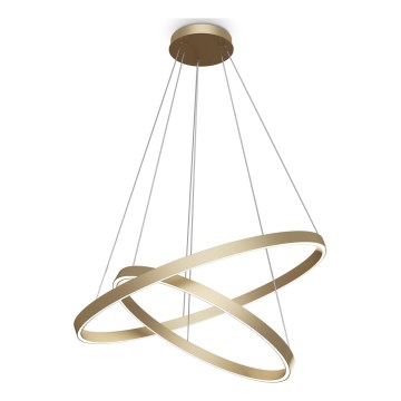 Maytoni MOD058PL-L74BS3K - LED Hanglamp aan een koord RIM LED/88W/230V 3000K diameter 80 cm goud