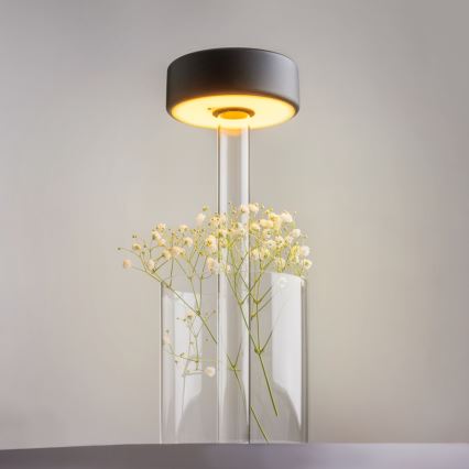 Maytoni MOD229TL-L3B3K1 - Lampe de table portable à intensité variable et rechargeable LED/3W/5V 2200-4000K noir/transparent
