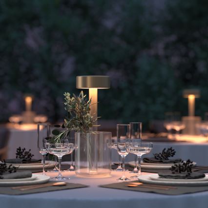 Maytoni MOD229TL-L3G3K1 - LED à intensité variable rechargeable portable lampe de table LED/3W/5V 2200-4000K doré/transparent