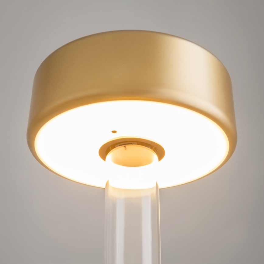 Maytoni MOD229TL-L3G3K1 - LED Dimbaar oplaadbaar draagbaar tafellamp LED/3W/5V 2200-4000K goud/doorzichtig