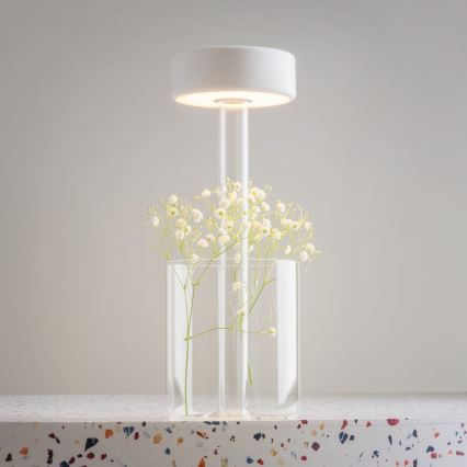 Maytoni MOD229TL-L3W3K1 - LED Dimbaar oplaadbaar draagbaar tafellamp LED/3W/5V 2200-4000K wit/doorzichtig