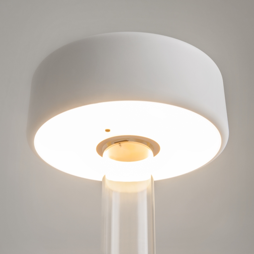 Maytoni MOD229TL-L3W3K1 - LED Dimbaar oplaadbaar draagbaar tafellamp LED/3W/5V 2200-4000K wit/doorzichtig