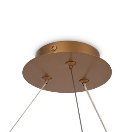 Maytoni MOD317PL-06G - Hanglamp aan een koord BALANCE 6xG9/40W/230V koper