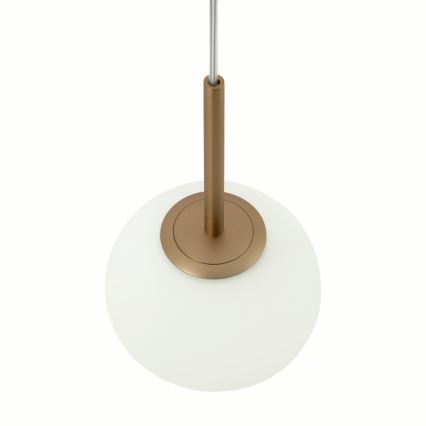 Maytoni MOD321PL-01G1 - Hanglamp aan een koord BASIC 1xE14/40W/230V goud