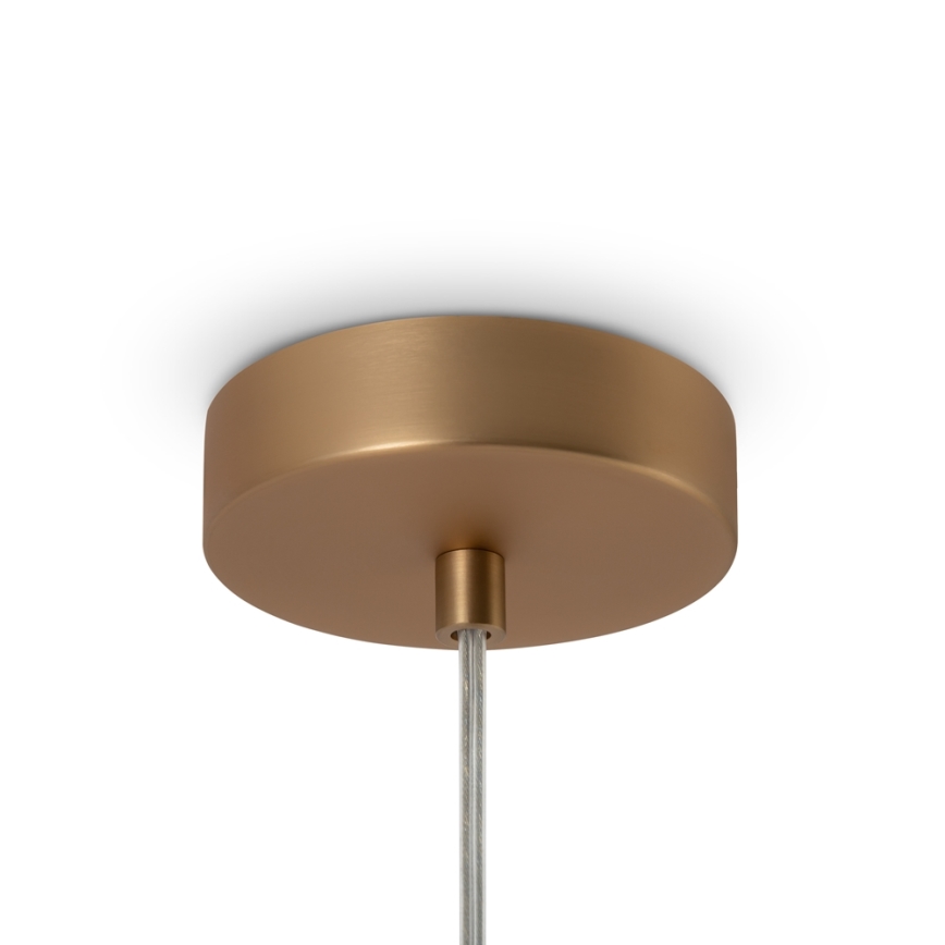 Maytoni MOD321PL-01G1 - Hanglamp aan een koord BASIC 1xE14/40W/230V goud