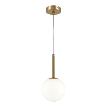 Maytoni MOD321PL-01G1 - Suspension filaire BASIC 1xE14/40W/230V doré