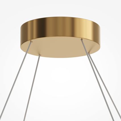 Maytoni MOD555PL-L35G3K - Suspension filaire AMULET LED/40W/230V 3000K doré