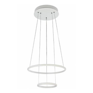 Maytoni MOD807-PL-02-36-W - LED Hanglamp aan koord NOLA LED/36W/230V