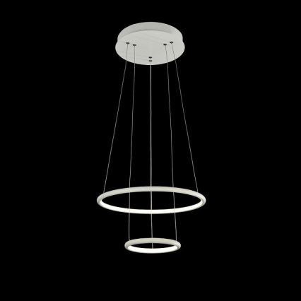 Maytoni MOD807-PL-02-36-W - LED Hanglamp aan koord NOLA LED/36W/230V