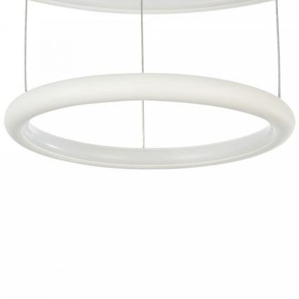 Maytoni MOD807-PL-02-36-W - LED Hanglamp aan koord NOLA LED/36W/230V