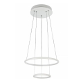 Maytoni MOD807-PL-02-36-W - Suspension filaire NOLA LED/36W/230V