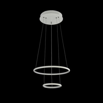 Maytoni MOD807-PL-02-36-W - Lustre LED avec fil NOLA LED/36W/230W