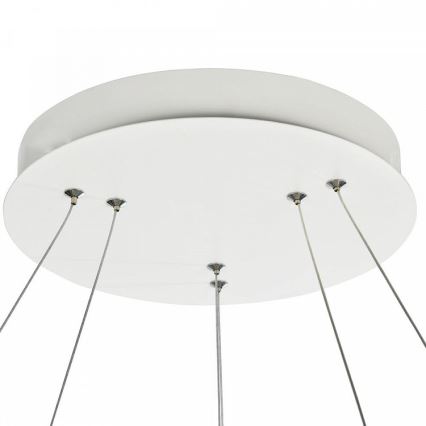 Maytoni MOD807-PL-02-85-W - LED Hanglamp aan koord NOLA LED/85W/230V