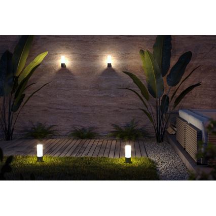 Maytoni O418FL-01B - Buitenlamp WILLIS 1xE27/60W/230V 30 cm IP54 zwart