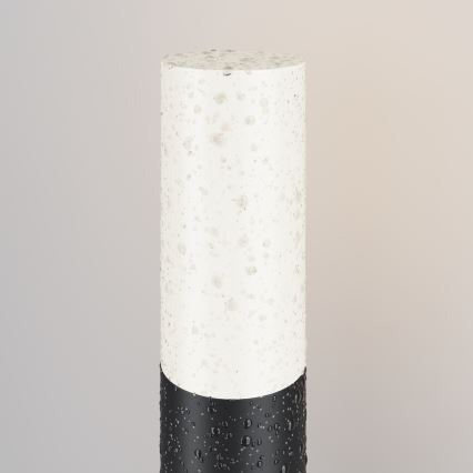 Maytoni O418FL-01B - Buitenlamp WILLIS 1xE27/60W/230V 30 cm IP54 zwart