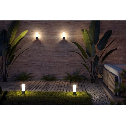 Maytoni O418WL-01B - Wandlamp voor buiten WILLIS 1xE27/60W/230V IP54 zwart