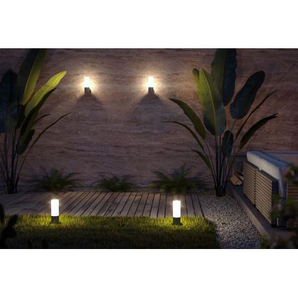 Maytoni O418WL-01GR - Wandlamp voor buiten WILLIS 1xE27/60W/230V IP54 antraciet