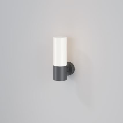 Maytoni O418WL-01GR - Wandlamp voor buiten WILLIS 1xE27/60W/230V IP54 antraciet