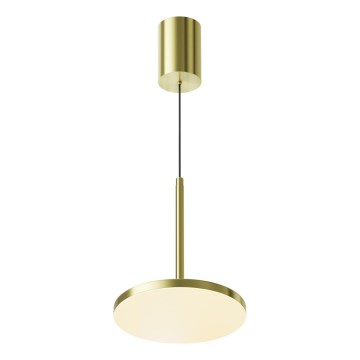Maytoni P076PL-L12W3K-BS - LED Hanglamp aan een koord PLATO LED/12W/230V 3000K goud