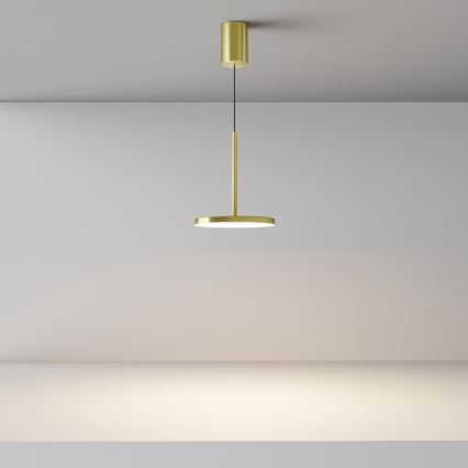 Maytoni P076PL-L12W3K-BS - LED Hanglamp aan een koord PLATO LED/12W/230V 3000K goud