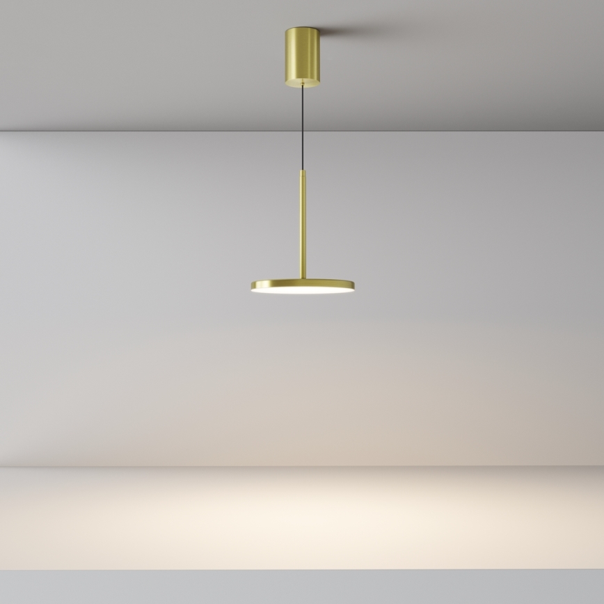 Maytoni P076PL-L12W3K-BS - LED Hanglamp aan een koord PLATO LED/12W/230V 3000K goud