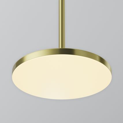Maytoni P076PL-L12W3K-BS - LED Hanglamp aan een koord PLATO LED/12W/230V 3000K goud