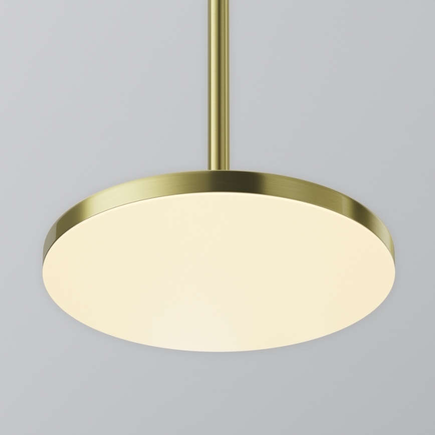 Maytoni P076PL-L12W3K-BS - LED Hanglamp aan een koord PLATO LED/12W/230V 3000K goud