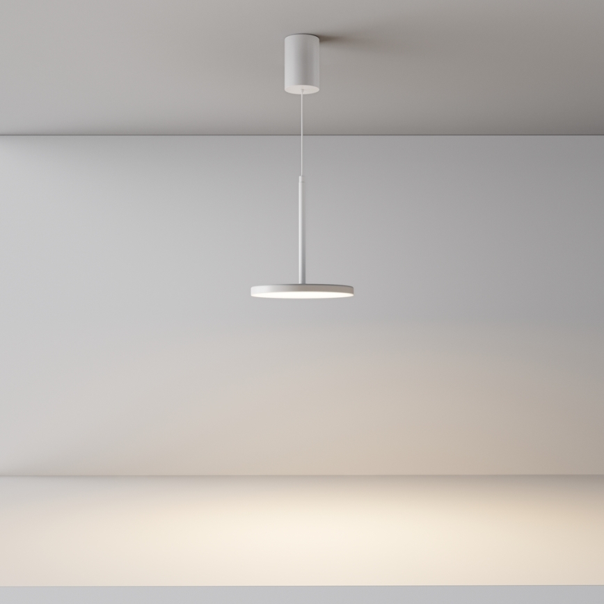 Maytoni P076PL-L12W3K-W - LED Hanglamp aan een koord PLATO LED/12W/230V 3000K wit