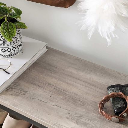 Meuble à chaussures DAVOR gris/noir