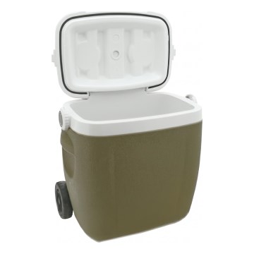 Mobiele koelbox 16 L, groen