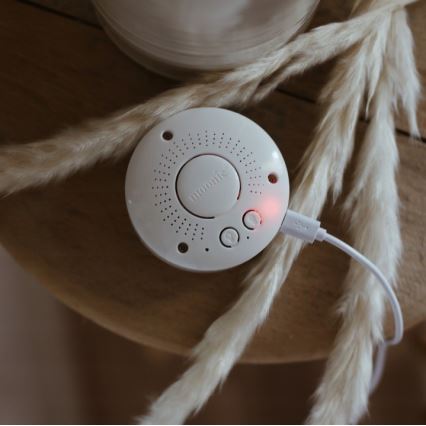 Moonie - Knuffelbeer met melodie en lampje zilver