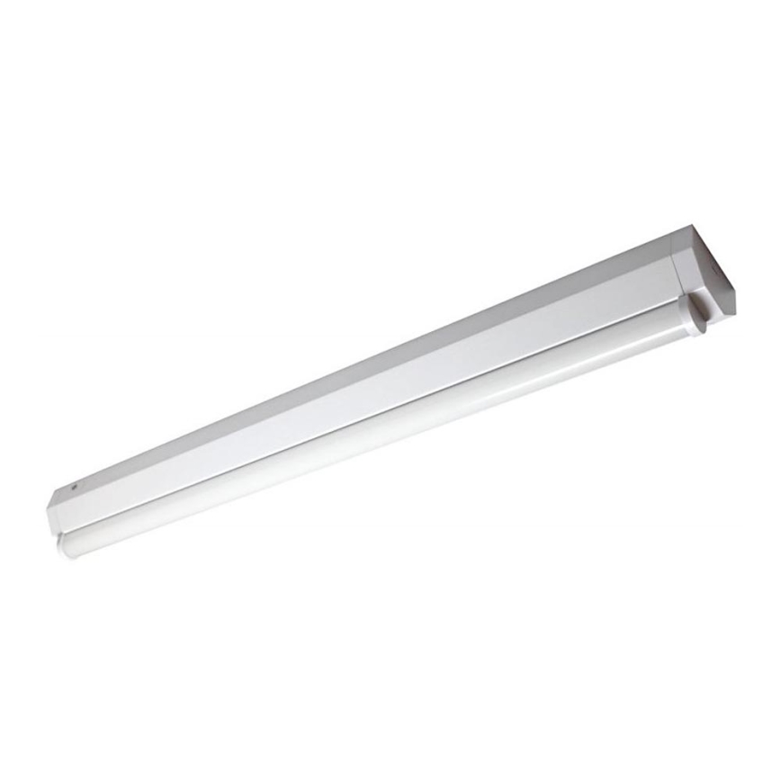 Müller-Licht - Lampe fluorescente BASIC LED/15W/230V 60 cm