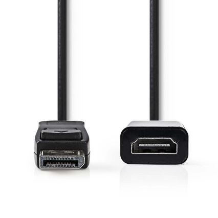 Câble HDMI connecteur DisplayPort - Sortie HDMI 0,2 m