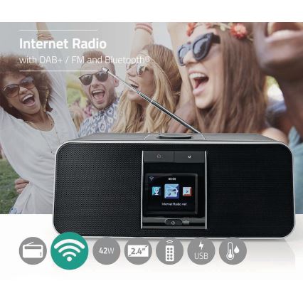 Nedis RDIN5005BK- Multifunctionele internetradio 42W / 230V Wi-Fi Bluetooth USB + RC