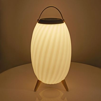 LED RGB Oplaadbaar tafellamp met een luidspreker 60W/2200 mAh IPX5