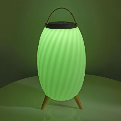 LED RGB Oplaadbaar tafellamp met een luidspreker 60W/2200 mAh IPX5