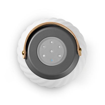 LED RGB Oplaadbaar tafellamp met een luidspreker 60W/2200 mAh IPX5