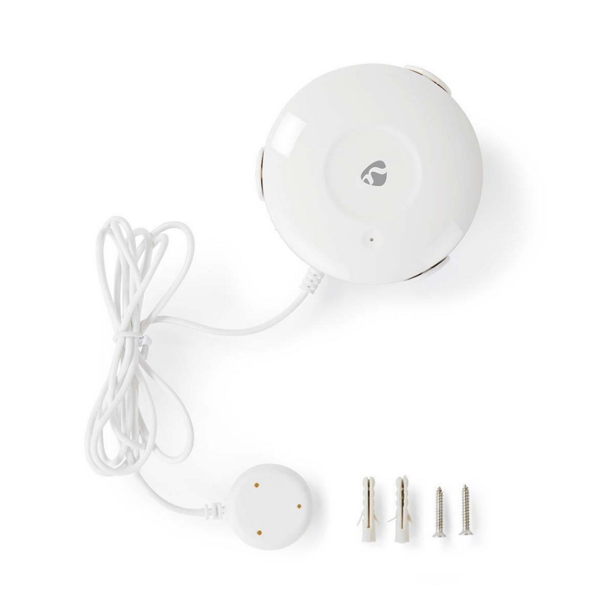 Waterlekdetector 3V/1xCR123A + 1xCR2/20dBm Wi-Fi