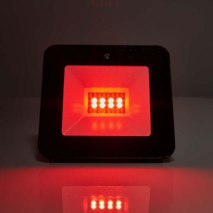 LED RGBW Dimbare stekkerstraler voor stopcontact SmartLife LED/20W/230V Wi-Fi IP65 2700-6500K