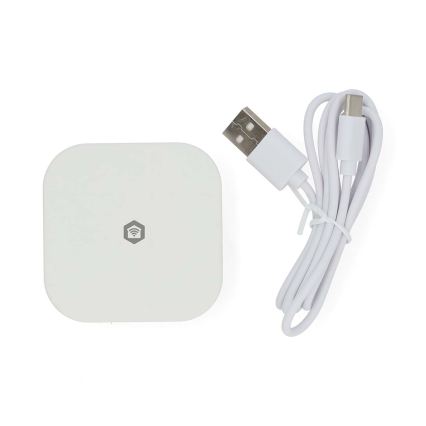 SmartLife slimme gateway 5V Wi-Fi