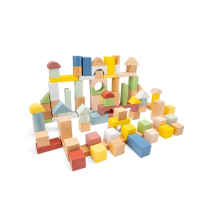 New Classic Toys - Houten blokken 100 st.