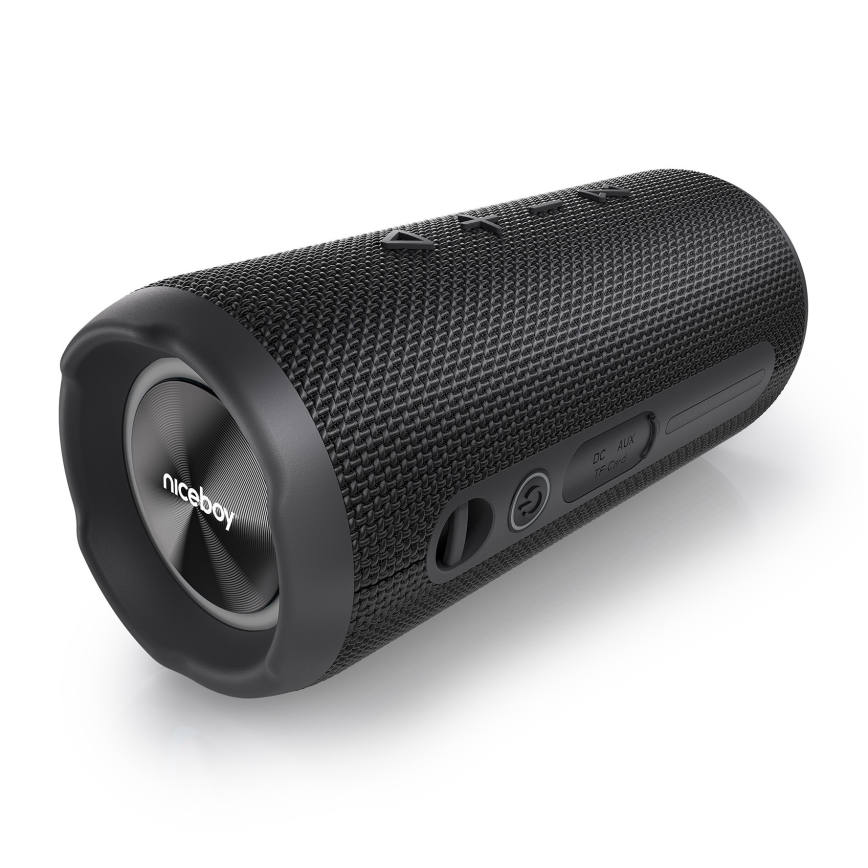 Niceboy Nexus - LED Draadloze luidspreker met een microfoon 26W/4000 mAh IPX6 zwart