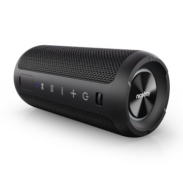 Niceboy Orion - Enceinte sans fil LED avec un micro 24W/2200 mAh IPX7 noir