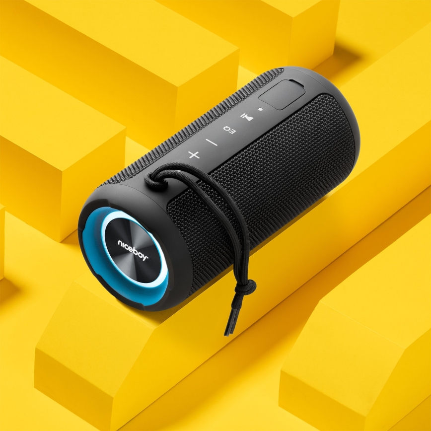Niceboy Orion - Enceinte sans fil LED avec un micro 24W/2200 mAh IPX7 noir