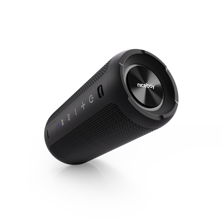 Niceboy Orion - Enceinte sans fil LED avec un micro 24W/2200 mAh IPX7 noir