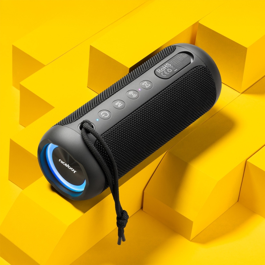 Niceboy Polaris - Enceinte sans fil LED avec un micro 30W/2000 mAh IPX7 noir